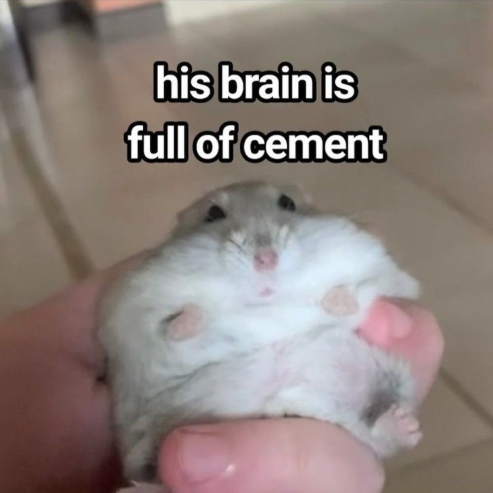 Meet your Posher, Clio